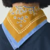 Provencal Paisley Print Bandana